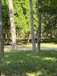 Запазена маса в парк "Минерални бани" край Бургас