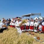 Жътва 2025 започна в Цар-Петрово