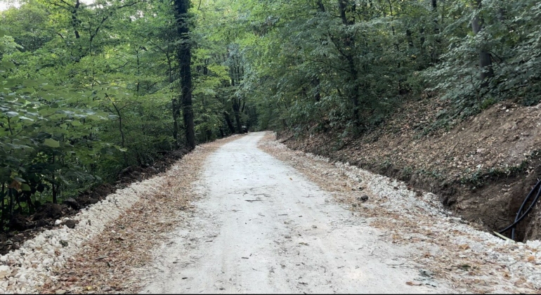 Лесопарк "Липник"