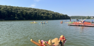 Драконови лодки в Русе