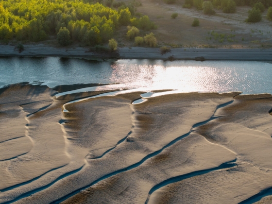 Оголените брегове на Дунав грай Русе. Снимката е от преподавател в катедра "Екология".