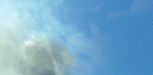 Пожарът край ТЕЦ "Бобов дол"