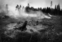 Дим след горски пожар