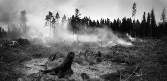 Дим след горски пожар