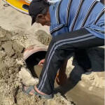 Сигнал от граждани! Фекалии се изливат в морето на плажа в Крайморие! Фекалии на плажа в Крайморие