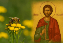 Кой черпи днес? На 8 юли почитаме Свети Прокопий – ето традициите