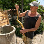 Мъж спасява смок от кладенец