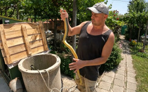 Мъж спасява смок от кладенец