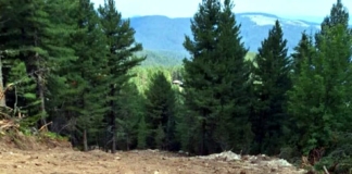 Незаконен спи път на Мальовица