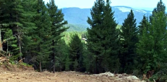 Незаконен спи път на Мальовица