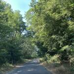 След статия на Искра.бг: Започва ремонт на разбития път между Царево и село Кости! Пътят за село Кости