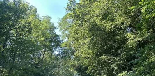 Пътят за село Кости