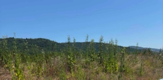 Повредени съоръжения