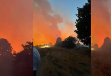 Пожар във Видинско