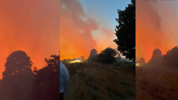 Пожар във Видинско