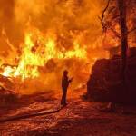 Гърция, Испания и Португалия се борят да овладеят горските пожари, докато ЕС засилва трансграничната помощ Пожар