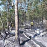 Военни на терен: армията се включи в гасенето на пожара край Велико Търново