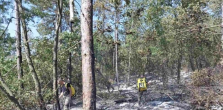 Военни на терен: армията се включи в гасенето на пожара край Велико Търново