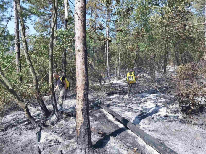 Военни на терен: армията се включи в гасенето на пожара край Велико Търново Военни на терен: армията се включи в гасенето на пожара край Велико Търново