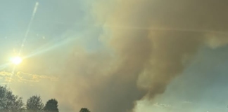 Пожарът край Костинброд