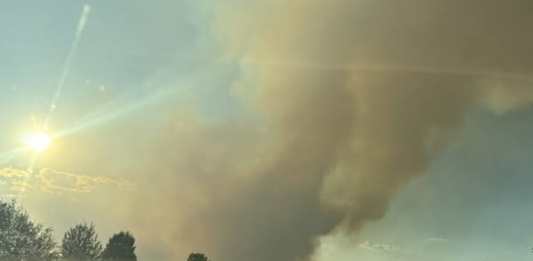 Пожарът край Костинброд