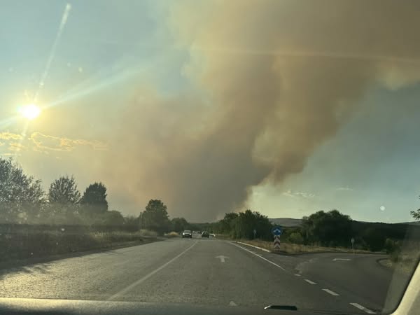 Пожарът край Костинброд