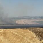 Голям пожар в Русенско! Има ли опасност за „Дунарит“ и населените места? (СНИМКИ) Пожарът край село Николово