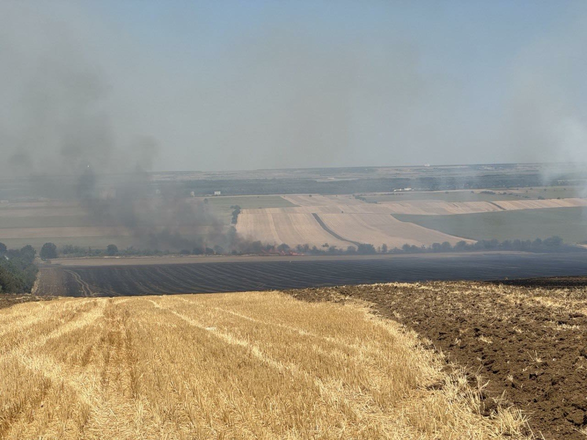 Голям пожар край село Николово засегна над 100 декара площ