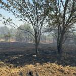 Обгазени ли са хората след големия пожар край русенското село Николово? МОСВ с официални данни! Пожарът край село Николово