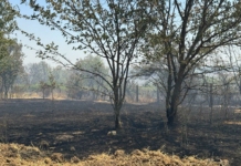 Пожарът край село Николово