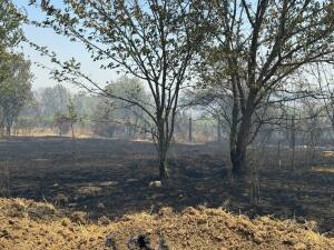 Пожарът край село Николово