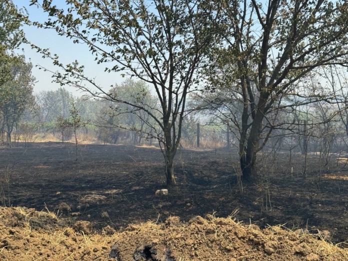 Пожарът край село Николово