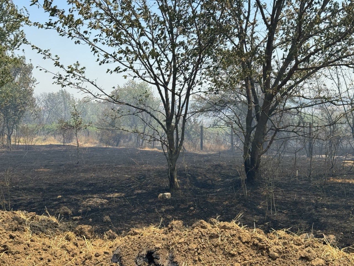 Мобилната станция на Изпълнителната агенция по околна среда ИАОС която