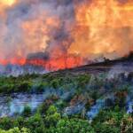 Пожарът край Велико Търново