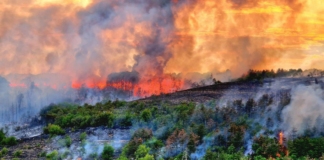 Пожарът край Велико Търново