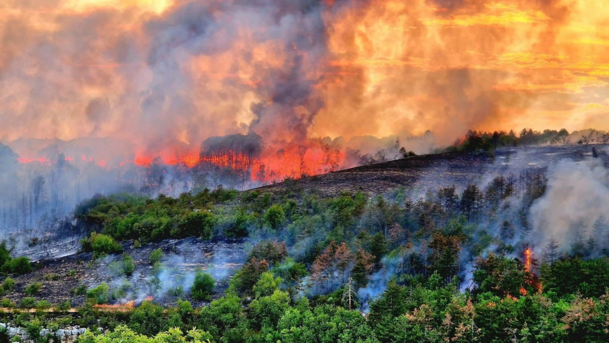 Два модула за гасене на пожари от състава на Сухопътните