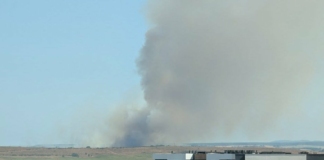 Пожарът в Бургаско