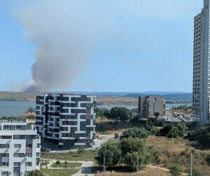 Пожарът в Бургаско