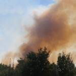 Пожарът в Бургаско