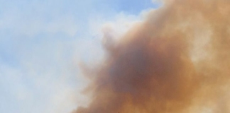 Пожарът в Бургаско