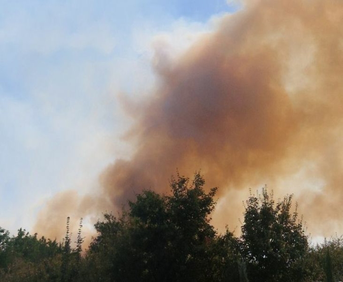 Пожарът в Бургаско