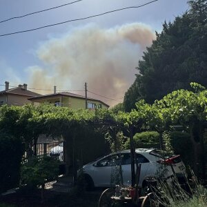 Пожарът в Бургаско