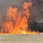 Трънско село изпепелено от огъня: останаха само руини Пожарът в Трънско