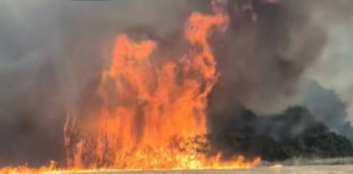 Пожарът в Трънско