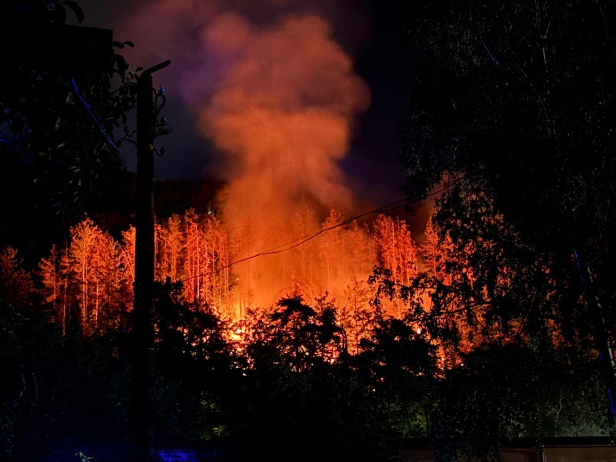 Има едно все по силно усещане за безсилие пред неспособността на