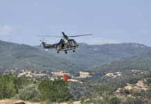 Пожари в България