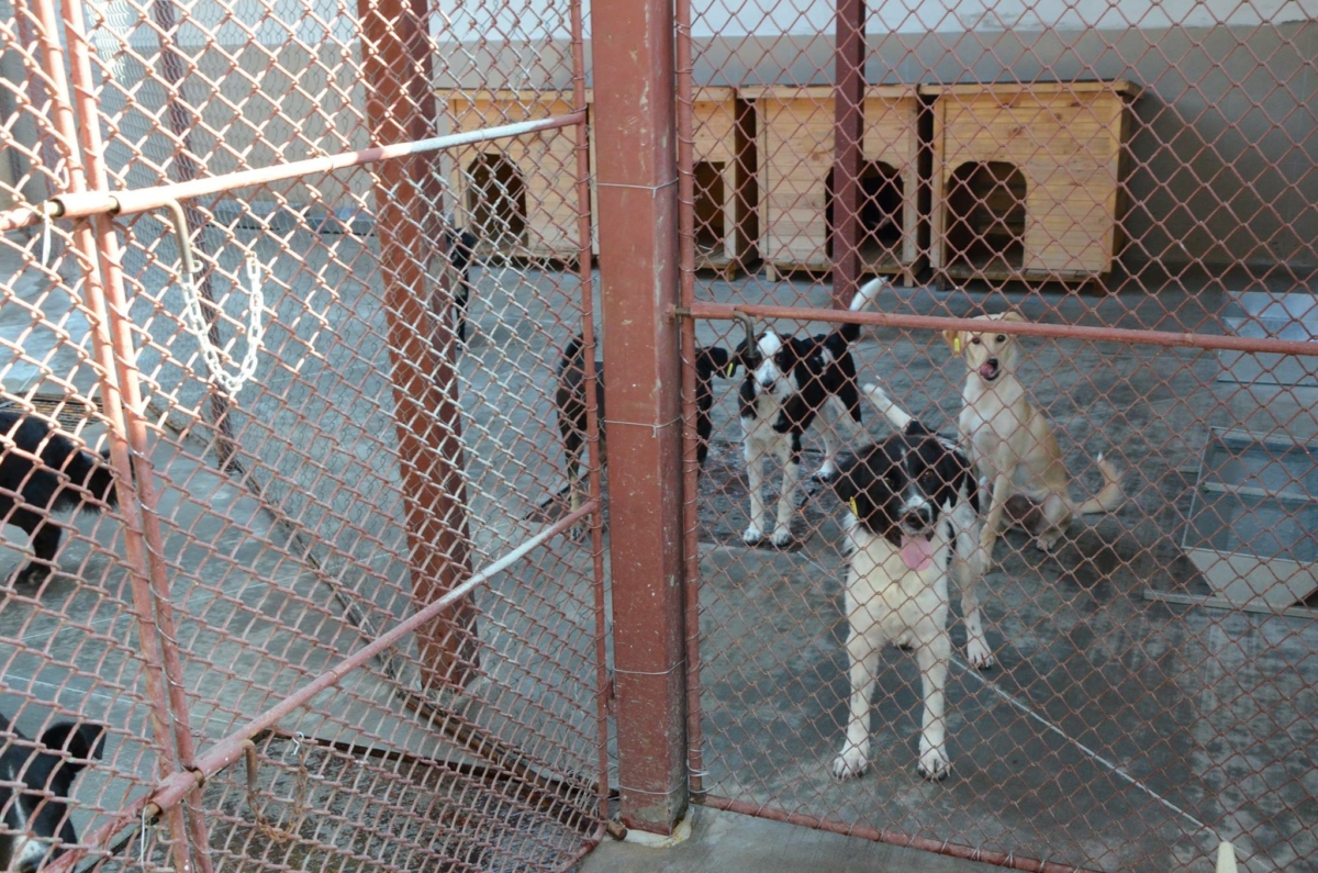 Общинските съветници от поставят остри въпроси към кмета на Пловдив