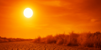 Рекордни горещини