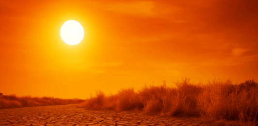 Рекордни горещини