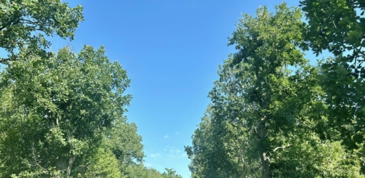 Ремонтиран път свързва Царево с Арапя, Оазис и Лозенец